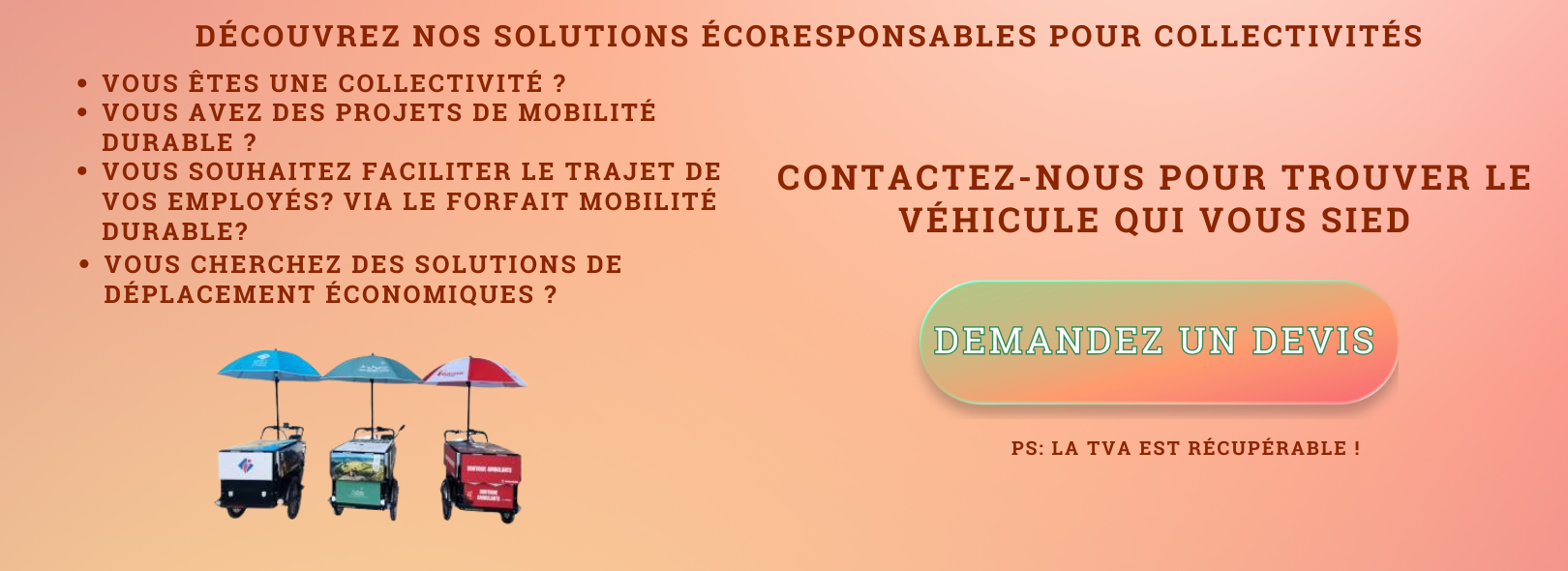 Super promo sur le triporteur de l'année